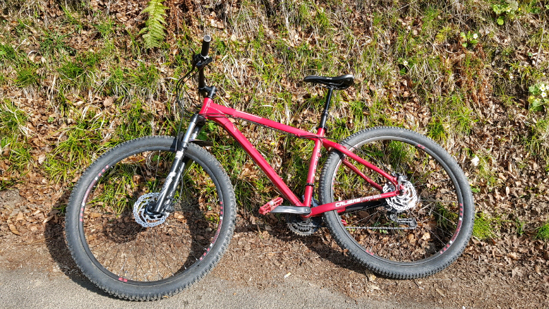calibre rake 29er